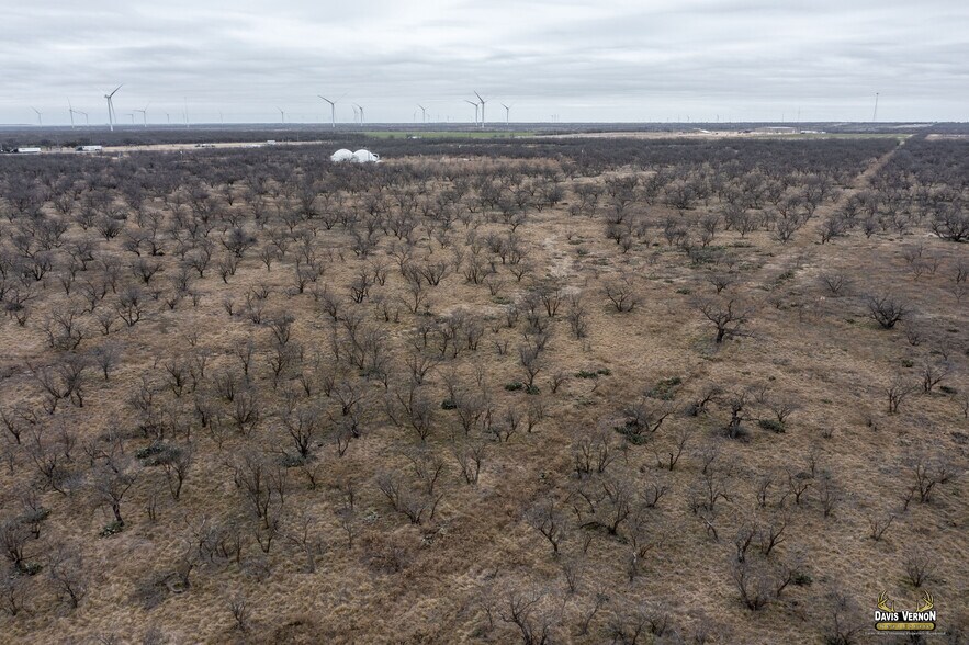 More Photos Of 10737 Interstate 20 W, Clyde Land For Sale