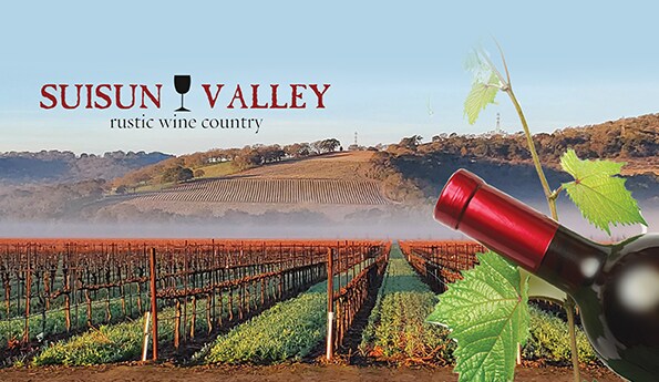 More Photos Of 2522 Mankas Corner Rd, Fairfield General Retail For Sale