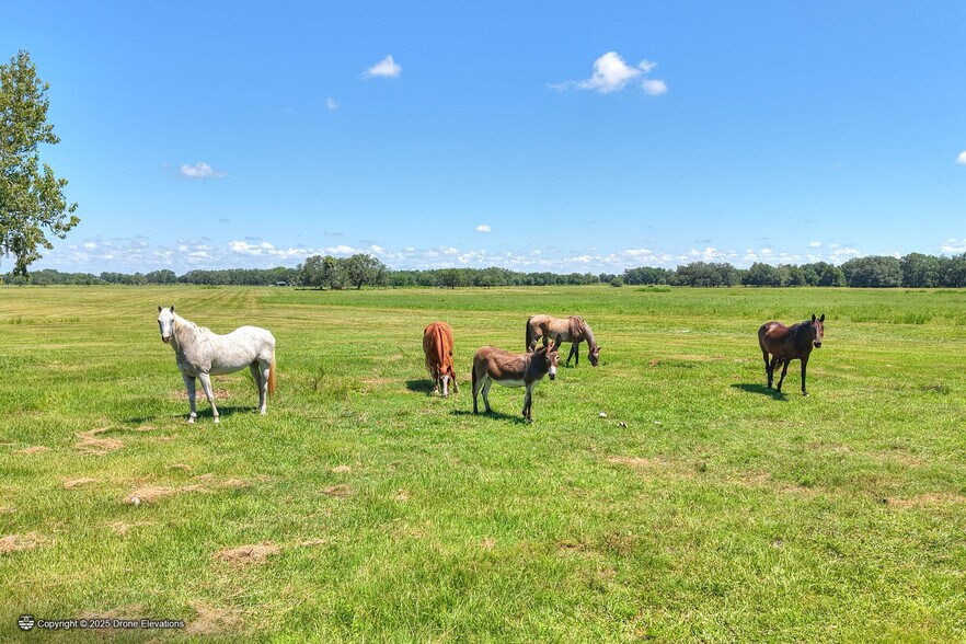 More Photos Of NW Limestone Heights Street, Arcadia Land For Sale