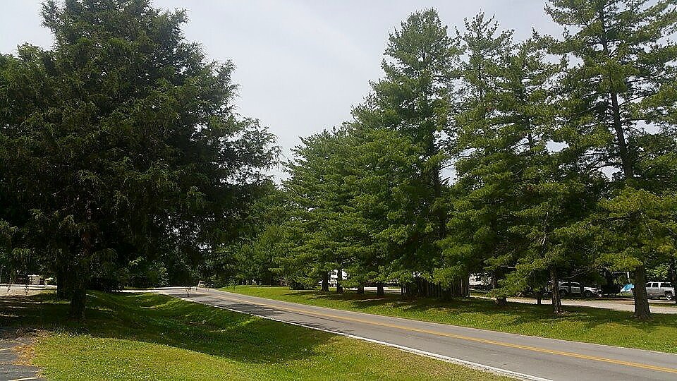 More Photos Of 1575 Tablerock Cir, Branson Hotel For Sale