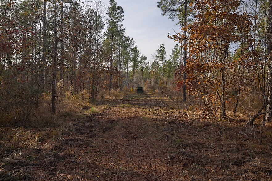 More Photos Of 480 Martin Rd, Cotton Valley Land For Sale