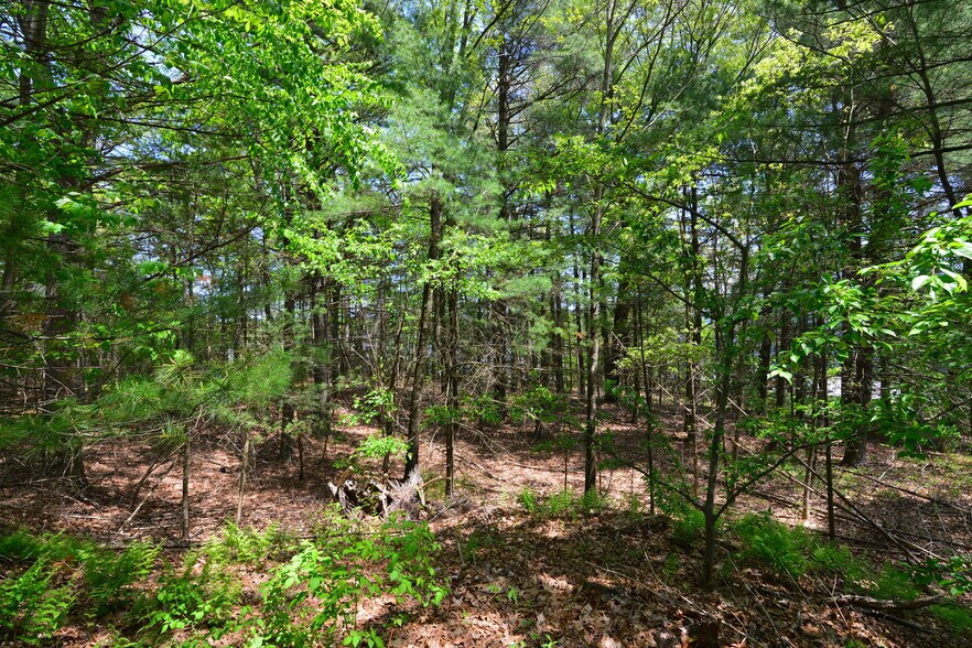 More Photos Of 186 Grove St, Franklin Office For Sale