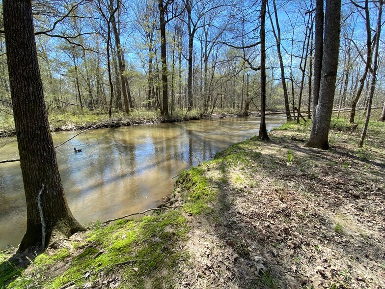 More Photos Of 92 Lillian Strong rd, Carlton Land For Sale