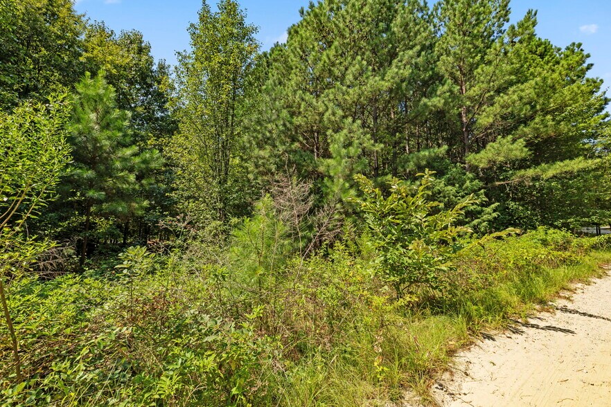 More Photos Of 1244 E Butler Rd, Greenville Land For Sale