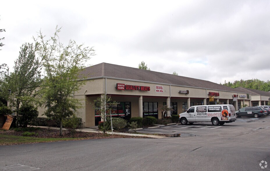 More Photos Of 26230-26316 Wesley Chapel Blvd, Lutz Unknown For Lease