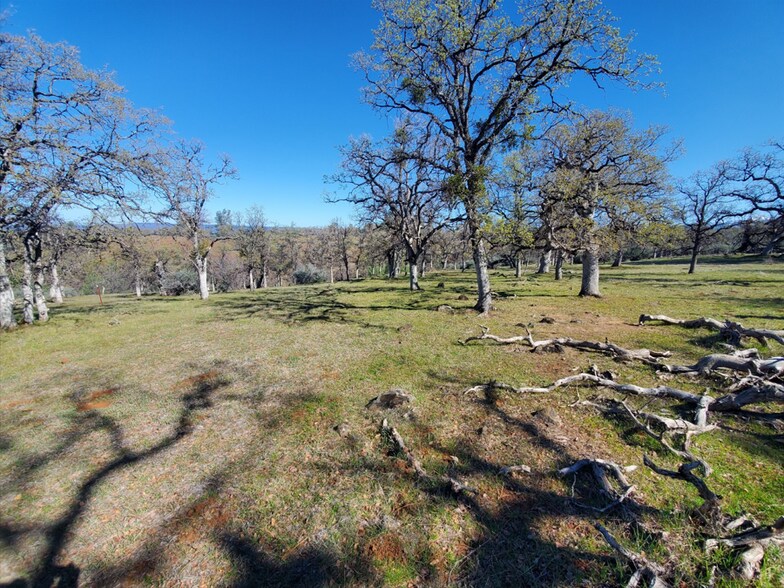 More Photos Of 15-One NE Ranch Rd, Paynes Creek Land For Sale