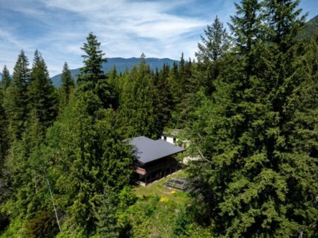 More Photos Of 2941 Mcinnes Rd, Revelstoke Land For Sale