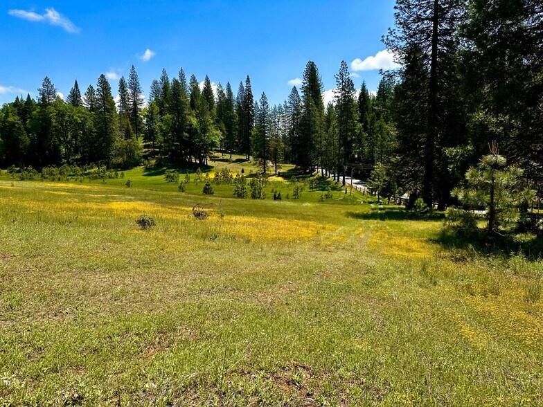 More Photos Of 5110 Sly Park Rd, Pollock Pines Land For Sale