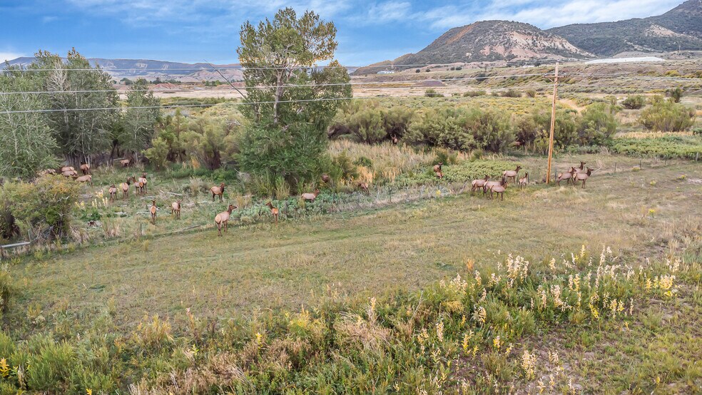 More Photos Of 41009 County Road 5, Meeker Industrial For Sale