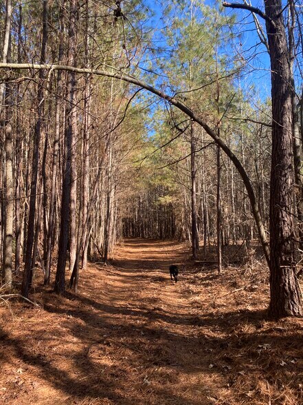 More Photos Of 1021 Ready Pond Rd, Batesburg-Leesville Land For Sale