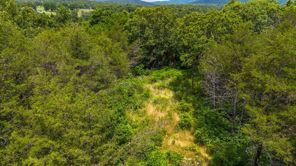 More Photos Of 19135 US 62, Eureka Springs Land For Sale