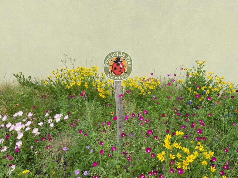 More Photos Of 3370 Long Prairie Rd, Flower Mound Unknown For Lease