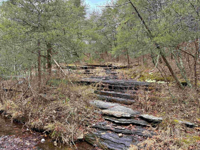 More Photos Of 155 Sweet Gum Holw, Rose Bud Land For Sale