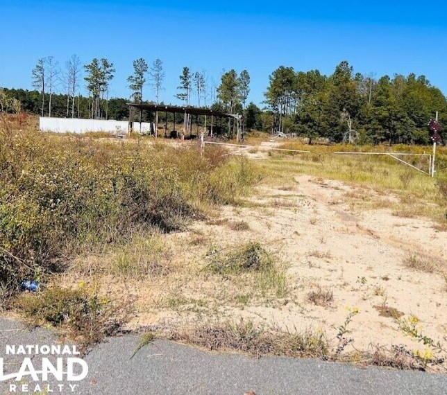 More Photos Of 10540 GA Highway 273, Jakin Land For Sale