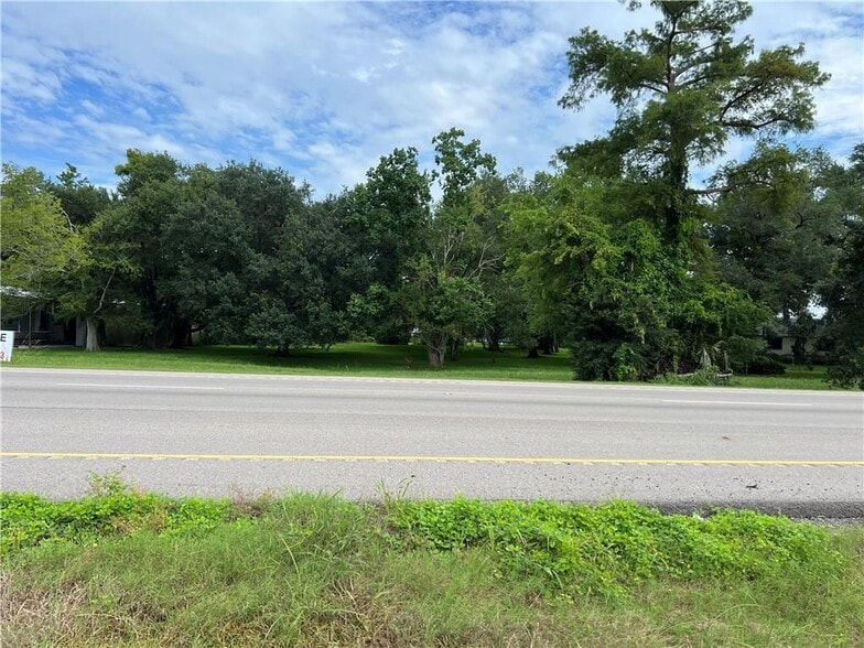 Primary Photo Of 17262 US-90, Des Allemands Land For Sale