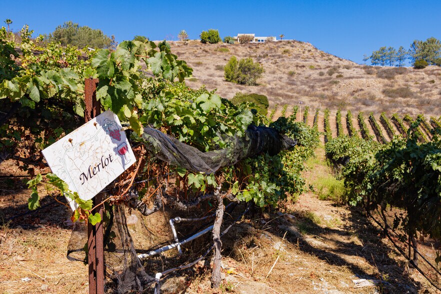 More Photos Of 2286 Sunshine Mountain Rd, San Marcos Winery Vineyard For Sale