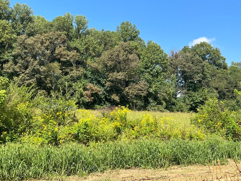 More Photos Of 3480 Airport Rd, Marble Land For Sale