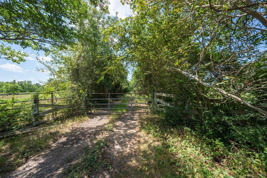 More Photos Of 28619 Barry Ln, Waller Land For Sale