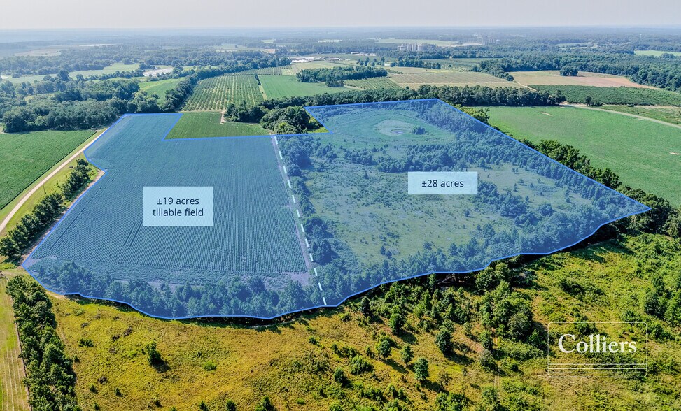 More Photos Of Joes Trail, Monetta Land For Sale