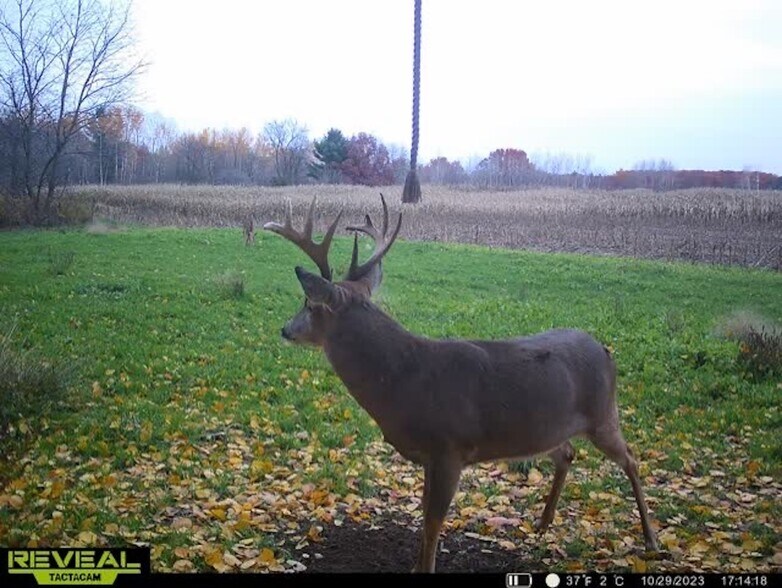 More Photos Of Fisher Road, Iola Land For Sale