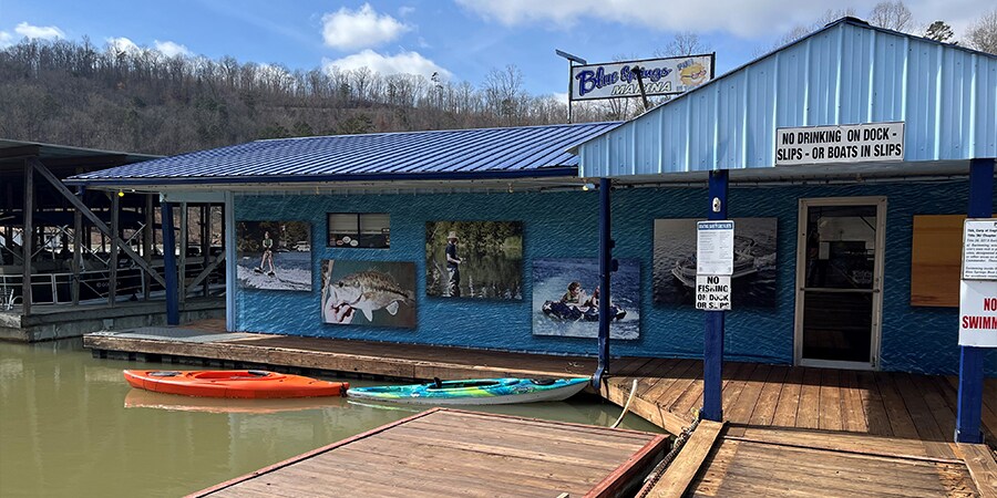 More Photos Of 680 Blue Springs Rd, Speedwell Marina For Sale