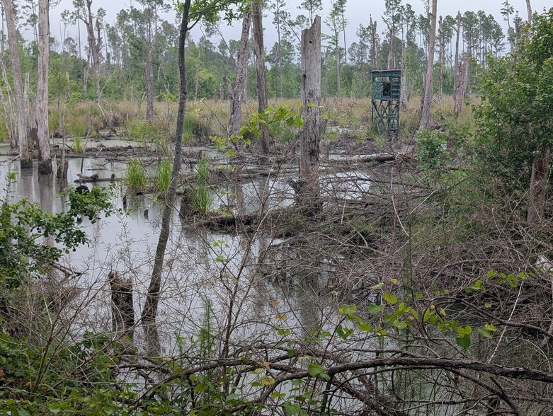 More Photos Of 4308 Hickory Grove Rd N, Valdosta Land For Sale