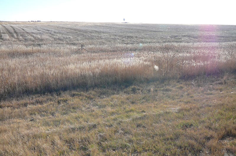 More Photos Of SE Corner of I-70 and Manila Road, Bennett Land For Sale