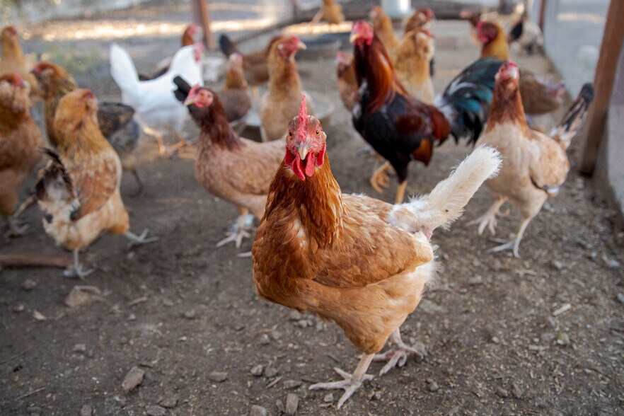 More Photos Of 15000 Middle Ranch Rd, Moorpark Land For Sale