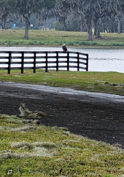 More Photos Of 15400 S US Highway 301, Summerfield Office For Sale