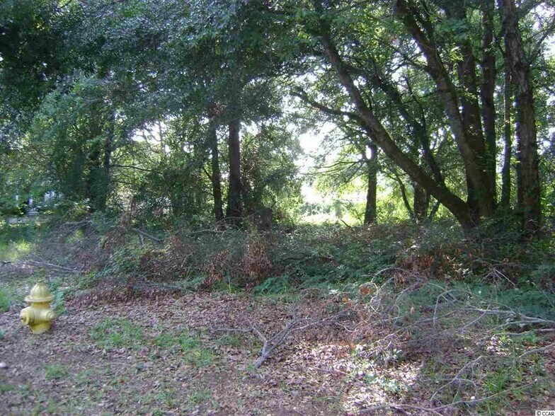 More Photos Of Wall St., Pawleys Island Land For Sale