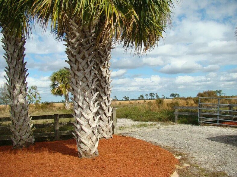 More Photos Of 6935 NE 48th St, Okeechobee Land For Sale