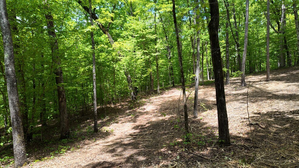 More Photos Of 0 Bullock Bridge Rd, Monroe Land For Sale