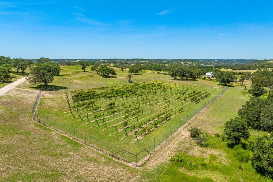 More Photos Of 5081 Bandera Hwy, Camp Verde Winery Vineyard For Sale