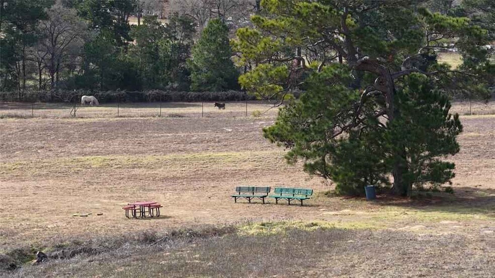More Photos Of 218 Little Ranch Rd, Red Rock Land For Sale