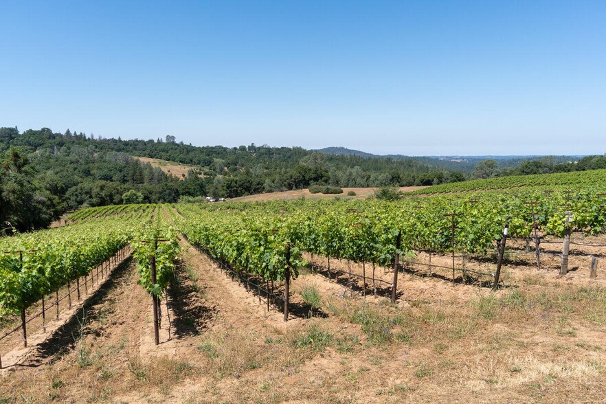 More Photos Of 8054 Fairplay Rd, Somerset Winery Vineyard For Sale