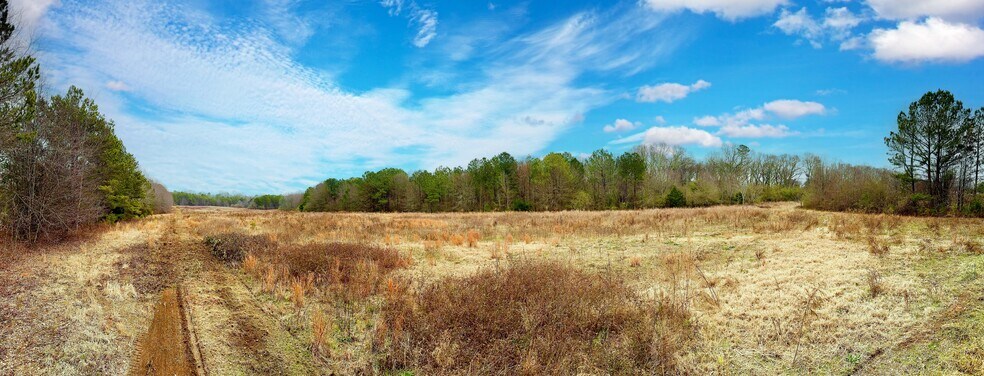Primary Photo Of 000 Beaverdam Rd, Williamston Land For Sale
