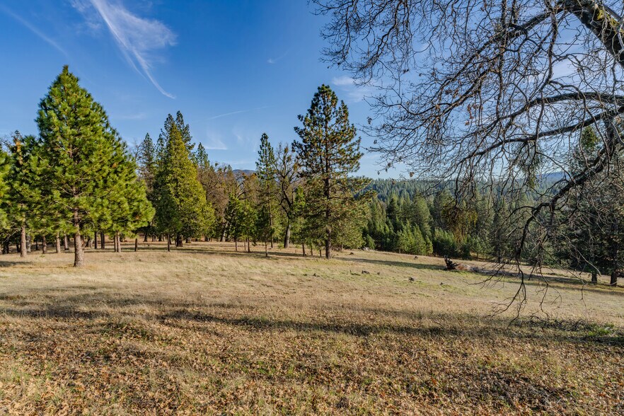 More Photos Of 7401 Schaad Rd, Wilseyville Land For Sale