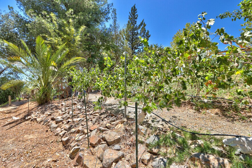 More Photos Of 35010 Santa Rita Rd, Temecula Specialty For Sale