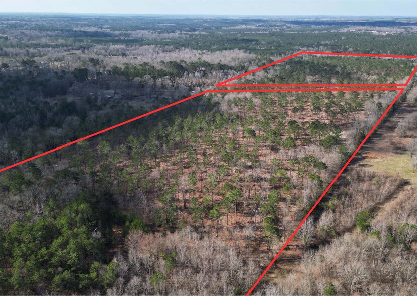 Primary Photo Of TBD CR 3665 Queen City Texas 20 Acres, Queen City Land For Sale