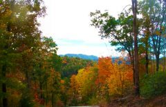 More Photos Of 850 Bluff Rd, Marble Land For Sale