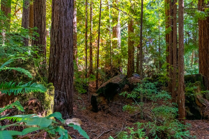 More Photos Of 2372 McKenzie Creek rd, Scotts Valley Land For Sale