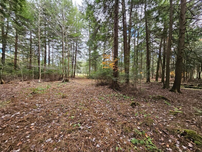 More Photos Of 1098 Million Dollar Hwy, Saint Marys Land For Sale