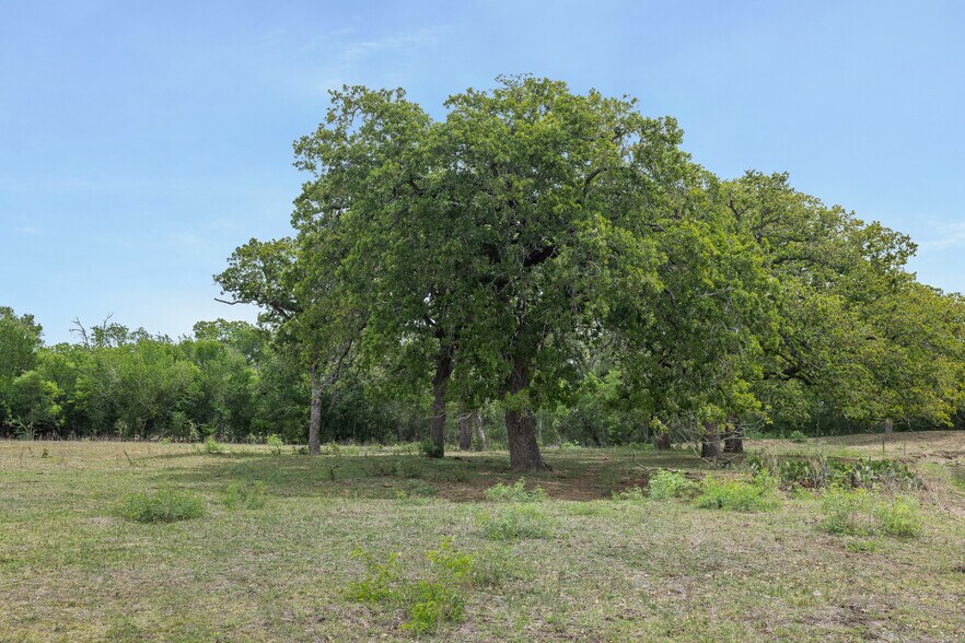 More Photos Of 9765 State Park Rd, Lockhart Land For Sale