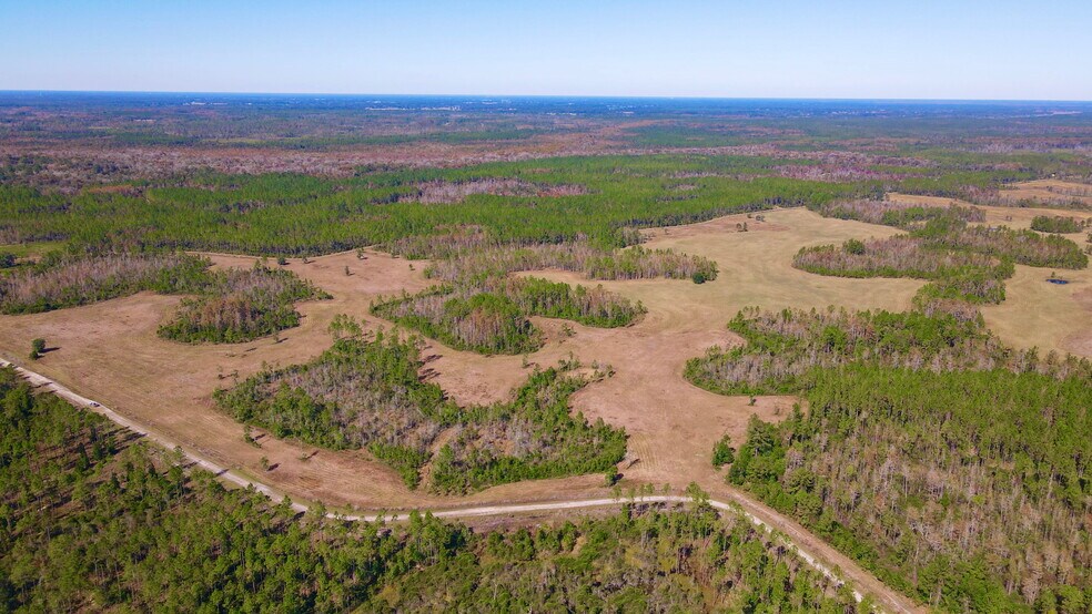 More Photos Of 4597 State 24 rd, Bronson Land For Sale