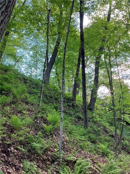 More Photos Of N3953 Bear Pen Rd, Arkansaw Land For Sale