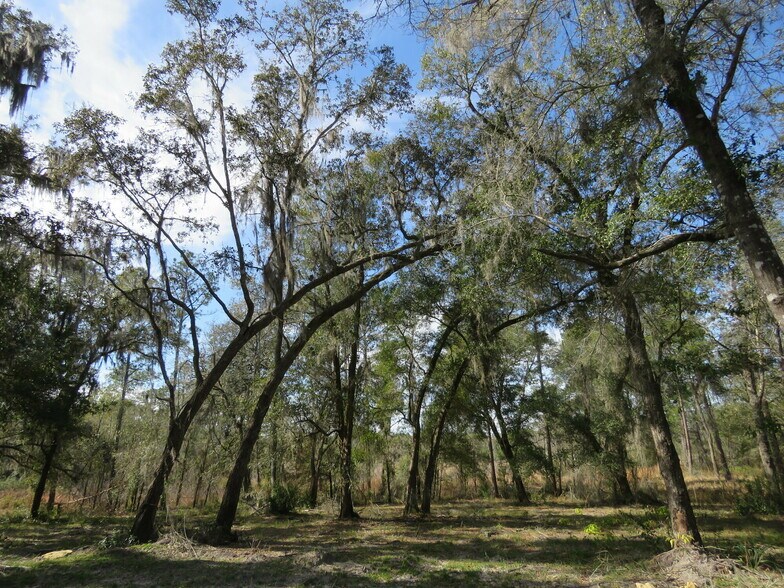 More Photos Of 9570 NE 35th st, Bronson Land For Sale