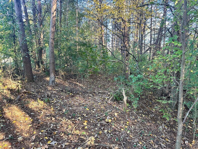 More Photos Of 00 NE Hwy 411, Rydal Land For Sale