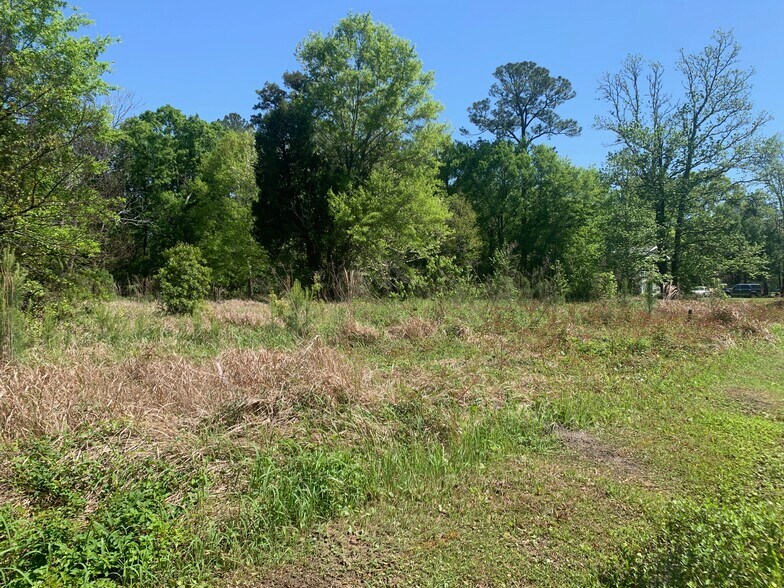 More Photos Of 9010 Little River Rd, Bayou La Batre Land For Sale