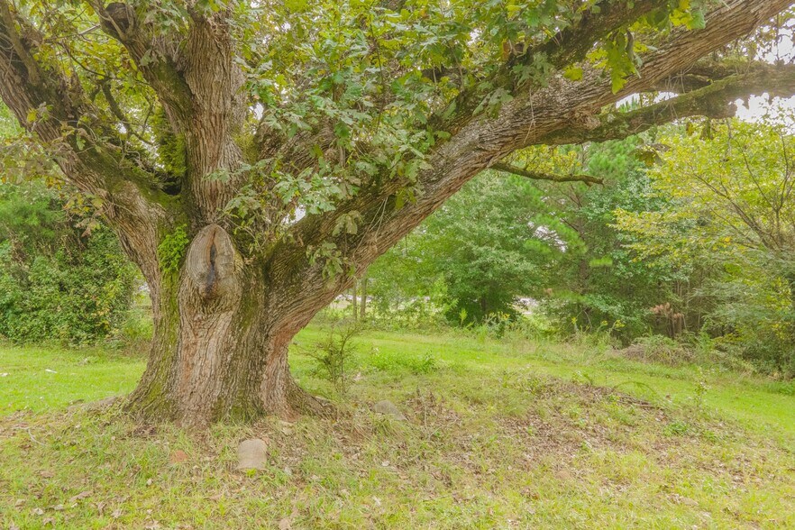 More Photos Of 0 6th St, Auburn Land For Sale