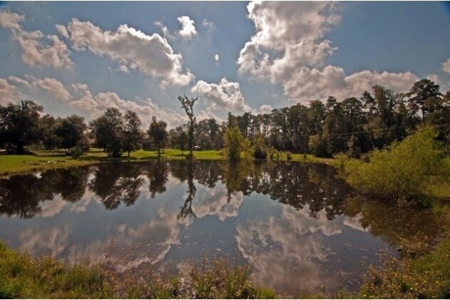 More Photos Of 12244 Serenity Rose Dr, Conroe Lodge Meeting Hall For Sale